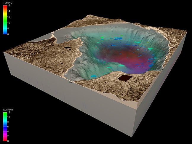 3D volumetric model of dissolved oxygen levels and lake trout in a northern Canadian lake