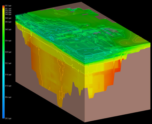 Ornis Consult A/S of Copenhagen, Denmark provided this model of a portion of the Skagerrak Straight using EVS-PRO's three-dimensional kriging techniques. (Read more.)